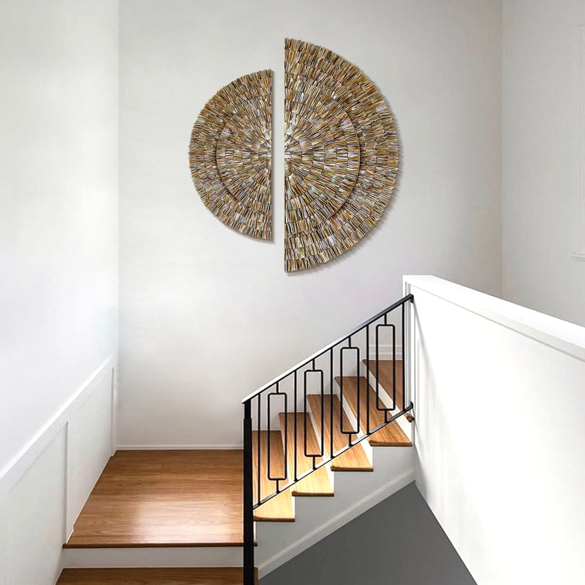 Modern Coastal Seashell Wall Decor for Living Rooms