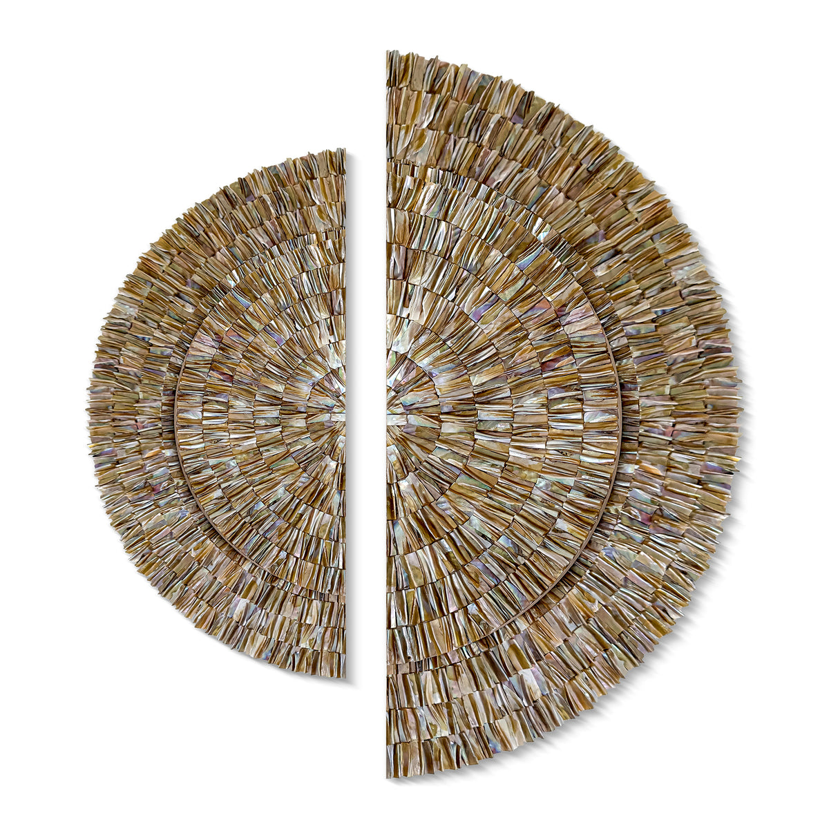 set of 2 round shell wall art